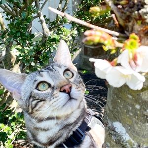 Meet your Posher, Daphne